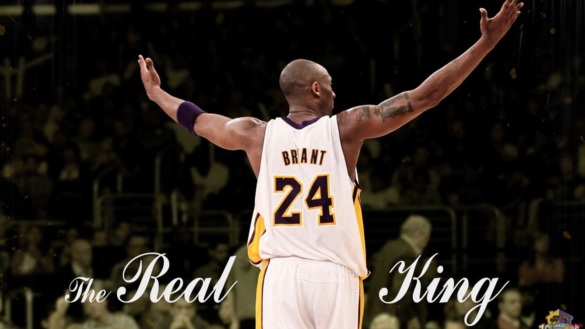 美洲杯明星闪耀：精彩过人，赢得掌声！，美洲杯著名球星